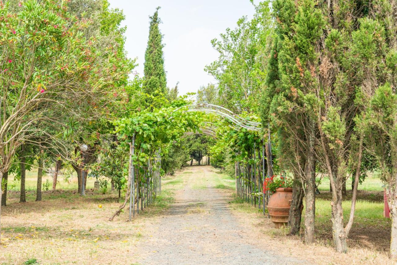 Agriturismo Le Biricoccole Vada Dış mekan fotoğraf